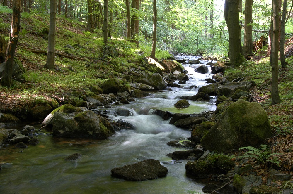 Stream